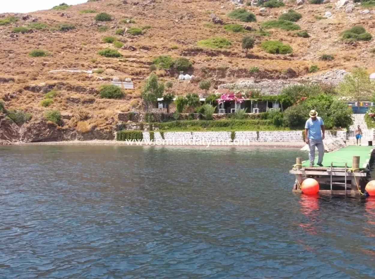 Benutzerdefinierte Dorf Am Meer Zu Verkaufen Villa Zum Verkauf In Osmanabad