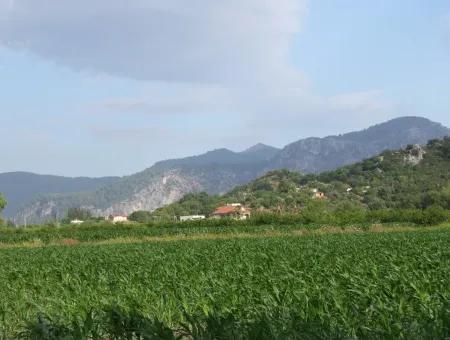 Bauernhof Zum Verkauf In Der Nähe Des Zentrums Von Dalyan,14, 612M2 Bauernhof Zum Verkauf