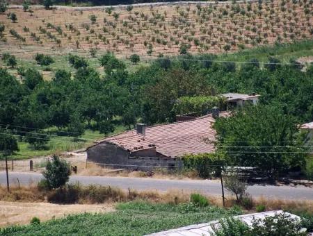 Merkez Dalyan Iztuzu See Zum Verkauf In Gokbel Null Pfad 7484M2