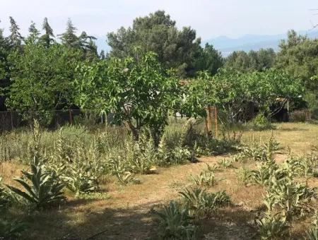 Ackerland Zum Verkauf In Seydikemer Korubuku 76000M2