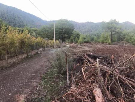 Sultaniye Land For Sale Near 10577M2 Lake Land For Sale