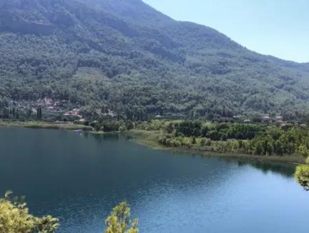 Sultaniye Land For Sale Near 10577M2 Lake Land For Sale