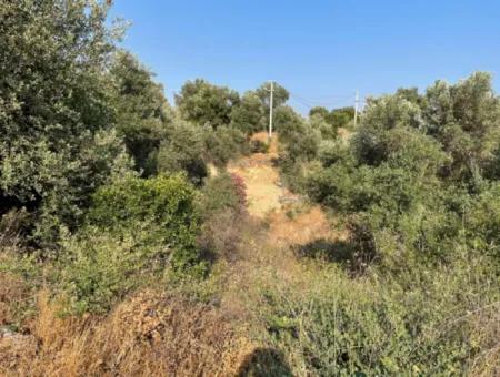 Land Zu Verkaufen In Fevziye 1858M2 Land Zum Verkauf Mit Voller Meerblick