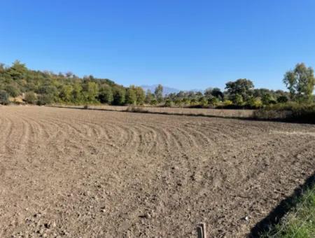 6254M2 Feld Zum Verkauf In Der Nähe Von Dalyan In Eskiköy