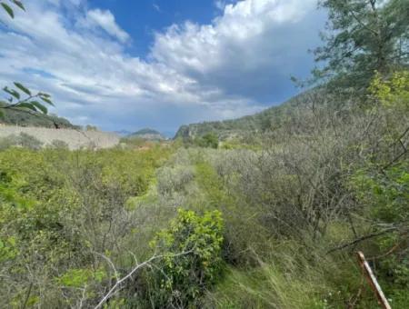 5000M2 Feld Zum Verkauf Am Anfang Der Straße In Çandır