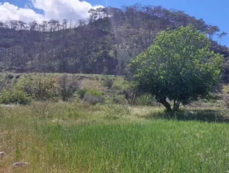 Marmaris Turgut Anlagegrundstück Zum Verkauf 29600M2 Zum Verkauf