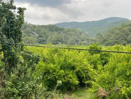 Gökbelde 14.000M2 Feld Zu Verkaufen