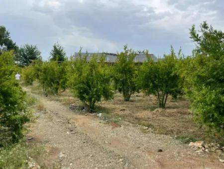 2.528M2 Feld Zum Verkauf In Der Nähe Des Zentrums Von Dalyan