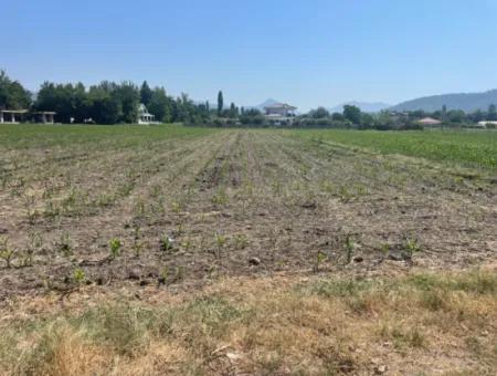 Grundstück Zum Verkauf Von 2715M2 Im Bebauten Gebiet Des Dorfes In Okçular