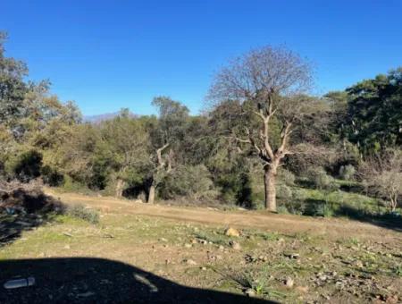 2B Grundstück Zum Verkauf Mit Meerblick In Çandır