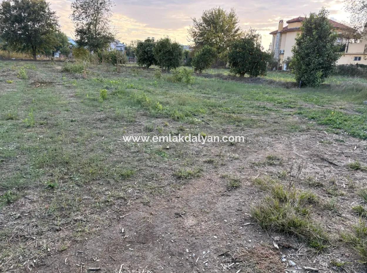 7,450M2 Land For Sale Close To The Center Of Dalyan