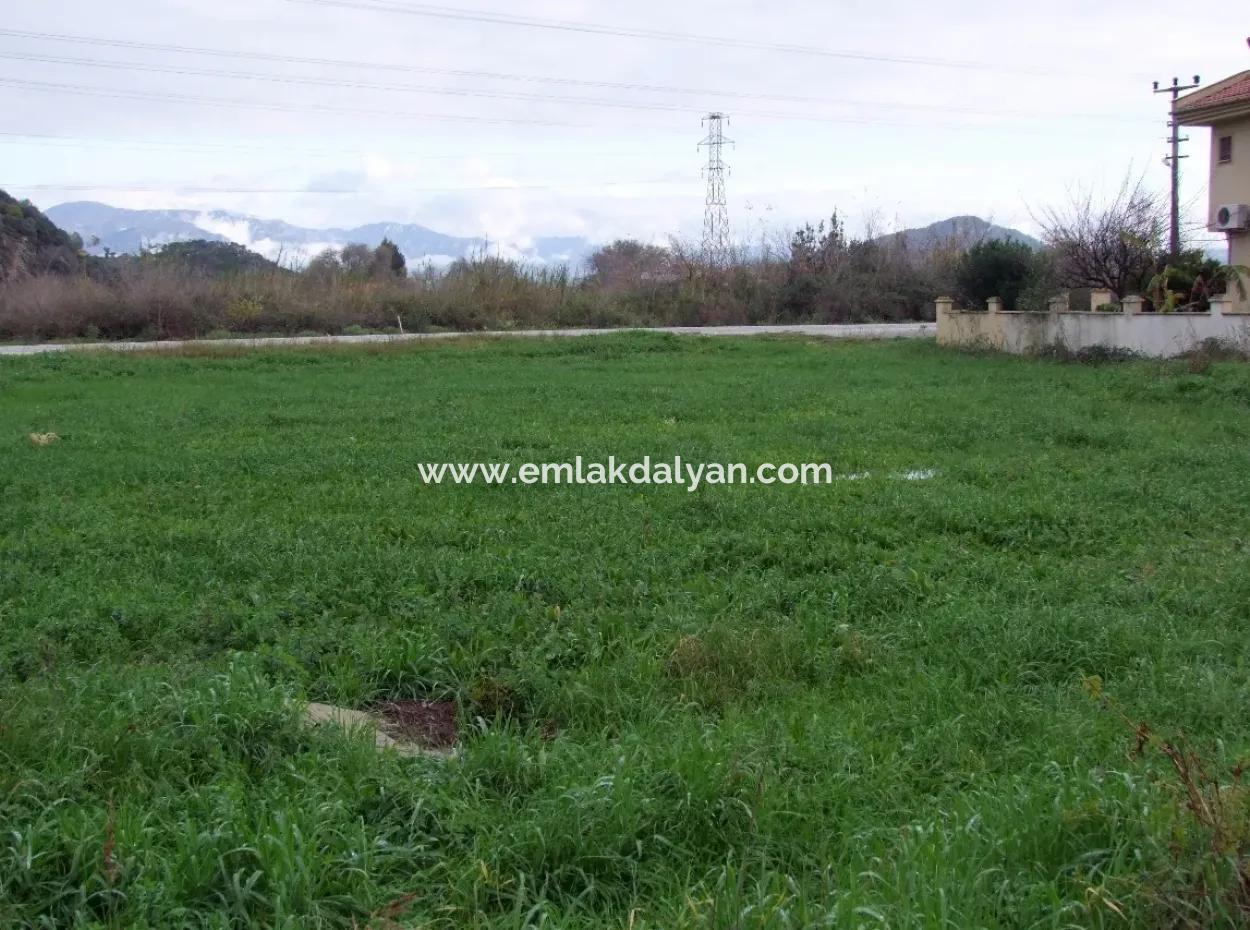 Gulpinar Dalyan Dalyan For Sale In 1002M2 Plot For Sale For Sale Cornerstone