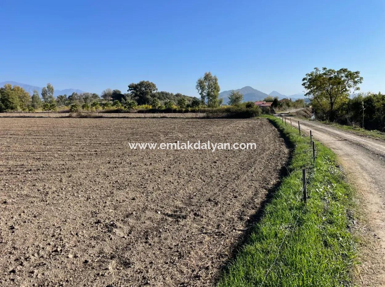 6254M2 Field For Sale Near Dalyan In Eskiköy