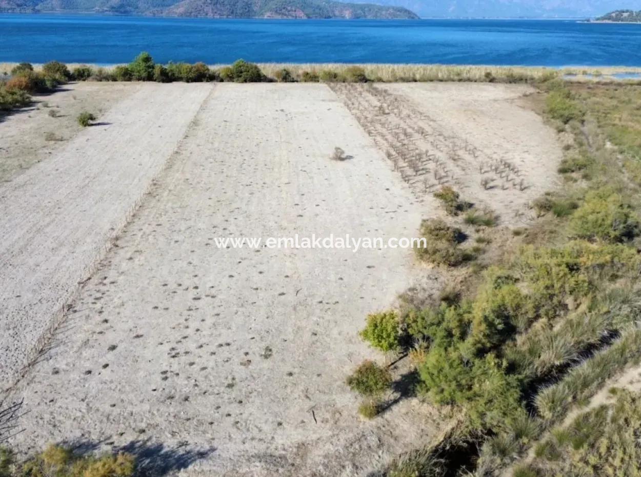 3210M2 2B Land For Sale By The Lake In Çandır