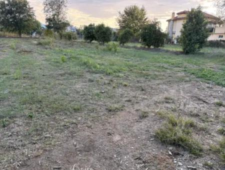 7,450M2 Land For Sale Close To The Center Of Dalyan