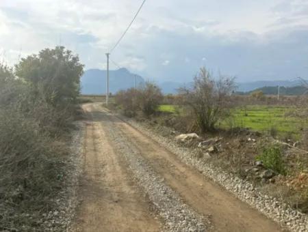 Single Title Deed 5617M2 Lemon Orchard For Sale In Tepearası