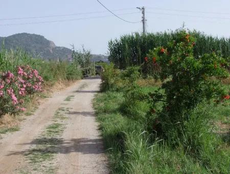 Merkez Dalyan Iztuzu Lake Garden Villa For Sale