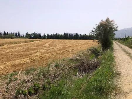 Farm Land For Sale 39 Acres In Eskikoy