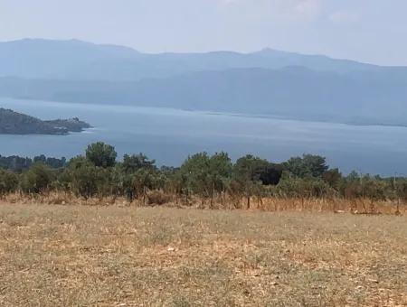 11.227M2 Land For Sale With Lake Views In Köyceğiz Zeytinalanı