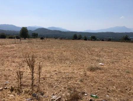 11.227M2 Land For Sale With Lake Views In Köyceğiz Zeytinalanı