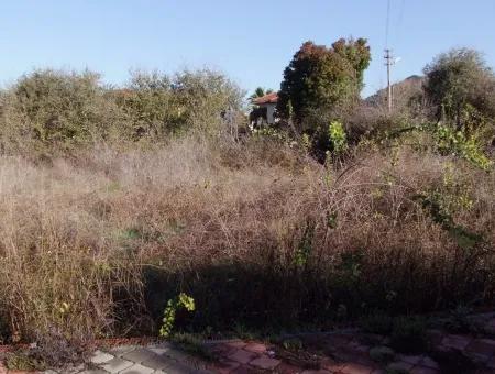 For Sale Plot For Sale Plot For Sale In Dalyan Gurpinar 1006M2 At The Corner