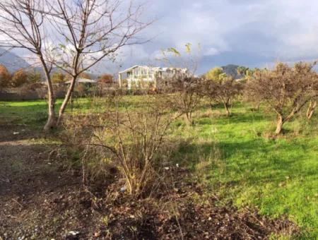 Dalyan Land For Sale Near The Center 3000M2 5% Zoning Land For Sale