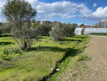 401M2 Land For Sale In Ortaca Cumhuriyet Neighborhood