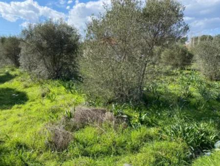 401M2 Land For Sale In Ortaca Cumhuriyet Neighborhood