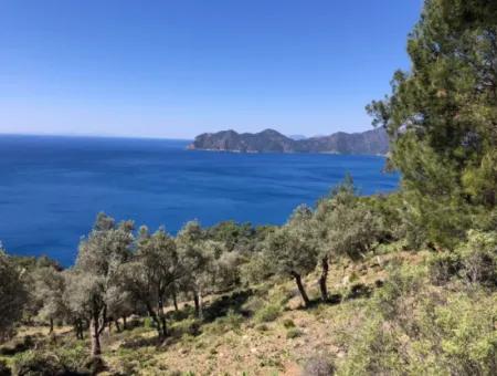 Land For Sale With Sea View In Çandir