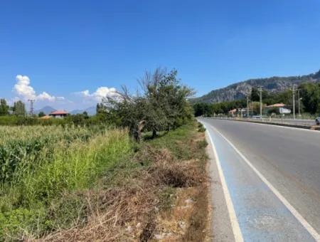 Dalyan Main Road Zero Land For Sale 8115M2 Commercial Land For Sale