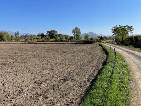 6254M2 Field For Sale Near Dalyan In Eskiköy