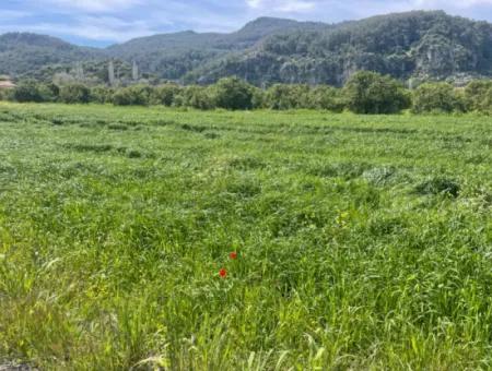 736M2 Land For Sale In Okçular