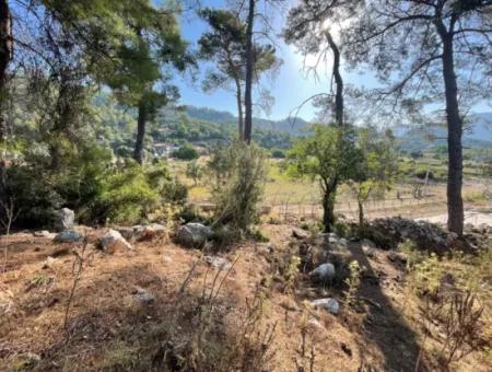 1,320M2 Field For Sale In Çandır Center By The Forest