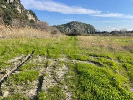 6800 M2 Land For Sale In Dalyan With 5% Residential Zoning