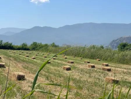 6,500M2 Field For Sale On The Iztuzu Road In Dalyan