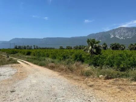 13,500M2 Roadfront Field For Sale In Akyaka Akçapınar