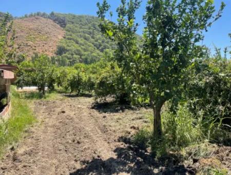 Road-New 6820M2 Pomegranate And Lemon Orchard Is For Sale In Tepearası