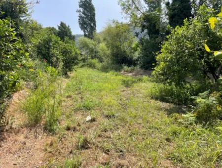 10.000M2 Land For Sale In The Village Built-Up Area In Okçular