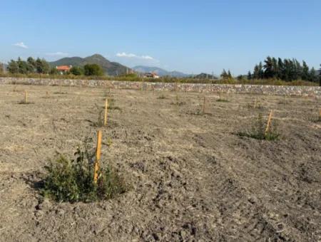 19.663M2 Land For Sale In Eskiköy