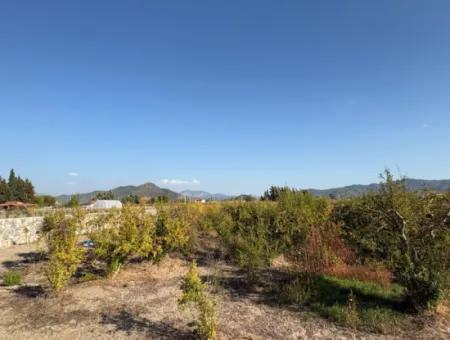 19.663M2 Land For Sale In Eskiköy